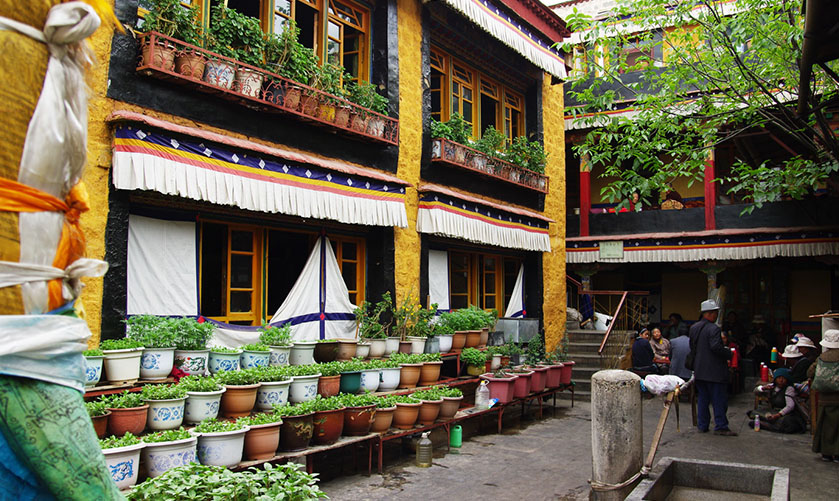 Ani Tsangku nunnery