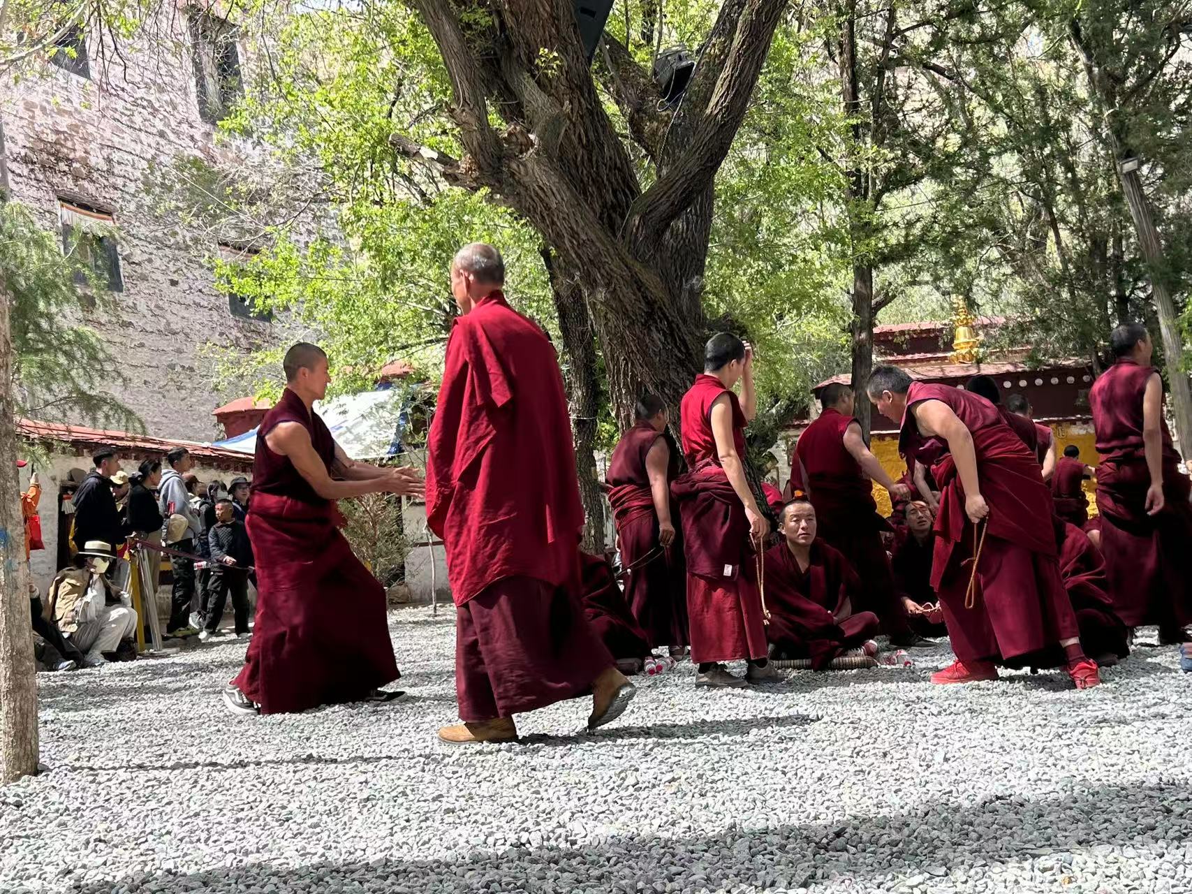 Philosophical Debate by Monks in Sera Monastery